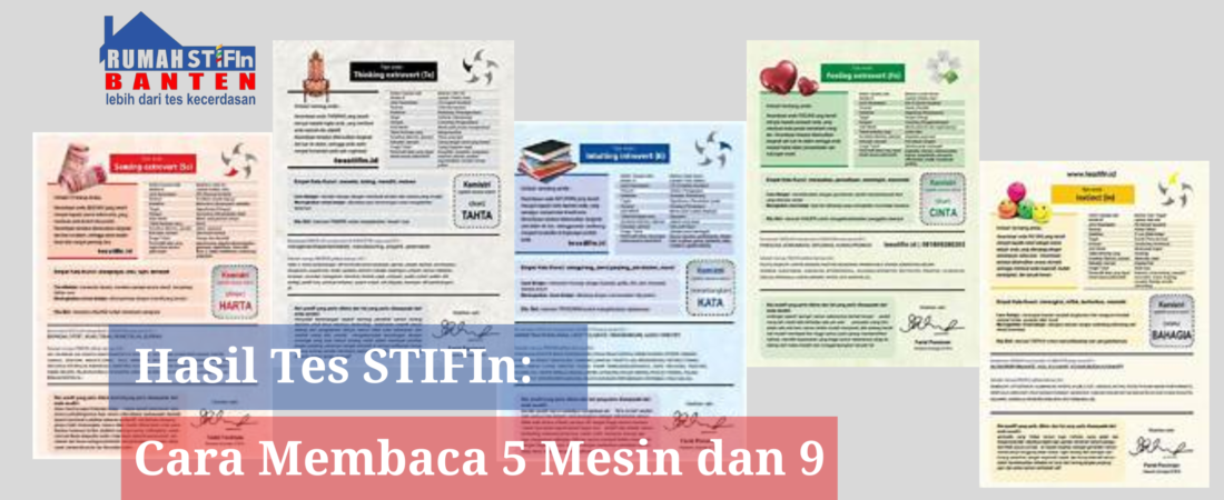 Hasil Tes STIFIn: Cara Membaca 5 Mesin dan 9 Personaliti